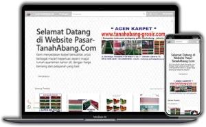 porto folio 13 jasa pembuatan website murah